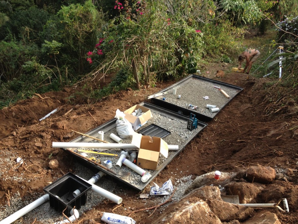 Reed Beds • Lamaro Plumbing